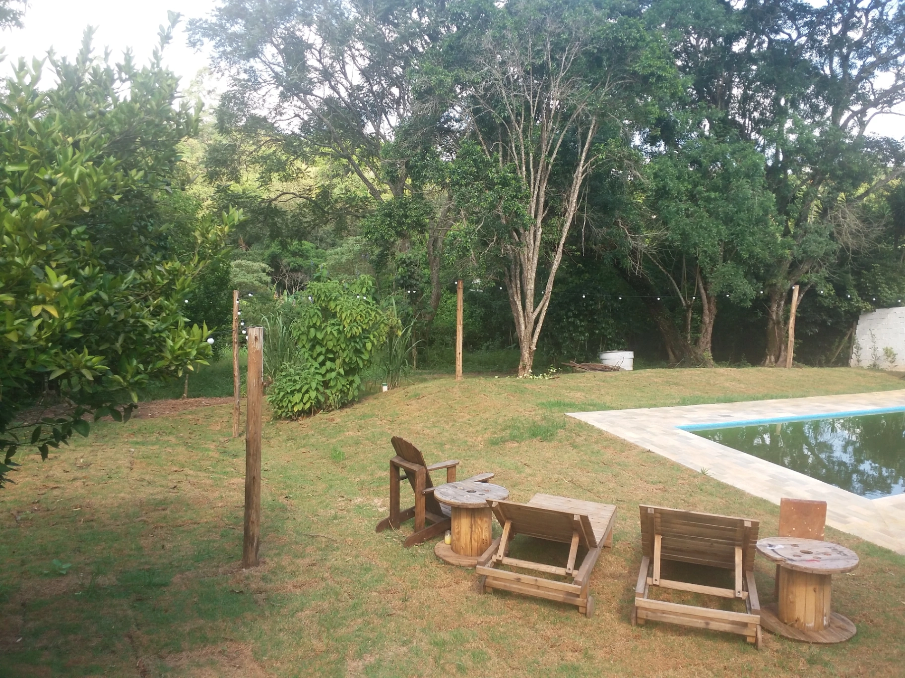 Jardinagem — Rubens Paisagismo em São Paulo